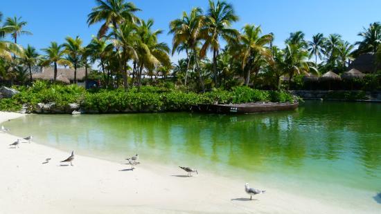 Centre écologique d'Akumal